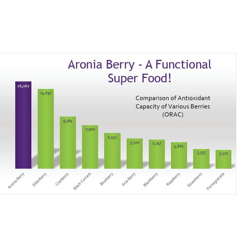 Aronia Gut Bar Powder